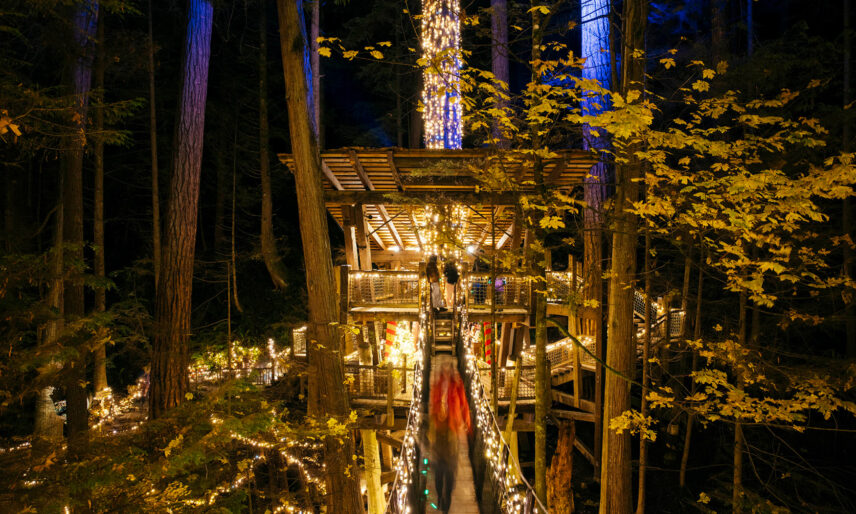 The treehouse at Treetops Adventure glows with gold lights during Canyon Lights, adding to the enchanting atmosphere of Capilano Suspension Bridge Park after dark.