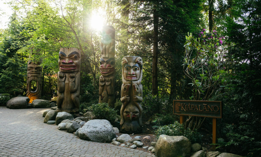 Totem poles stand tall at the entrance to Kia'palano on a sunny morning at Capilano Suspension Bridge Park, showcasing vibrant colors and intricate carvings, welcoming visitors to explore indigenous culture and heritage