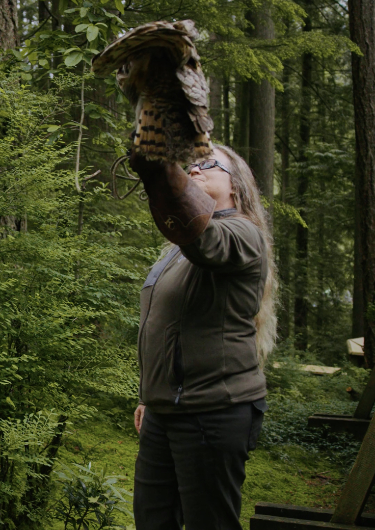 adventures at capilano suspension bridge