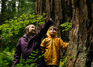 Two kids stand in the rainforest, pointing and looking up at a large beetle display with fascination, immersed in the captivating Living Forest exhibits at Capilano Suspension Bridge Park.