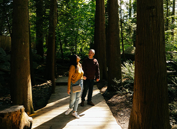 couple walking the rainforest boardwalk capilano suspension bridge park