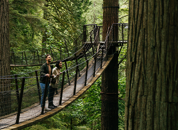 A young couple stands side by side on a suspended bridge of Treetops Adventure, framed by large old-growth trees in the foreground, immersed in the tranquil beauty of Capilano Suspension Bridge Park