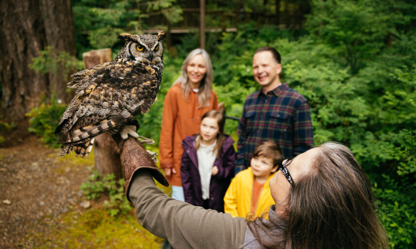 A bird handler from Raptors Ridge holds a majestic great horned owl, its head turned to gaze at the viewer, as a family watch in awe in the background at Capilano Suspension Bridge Park