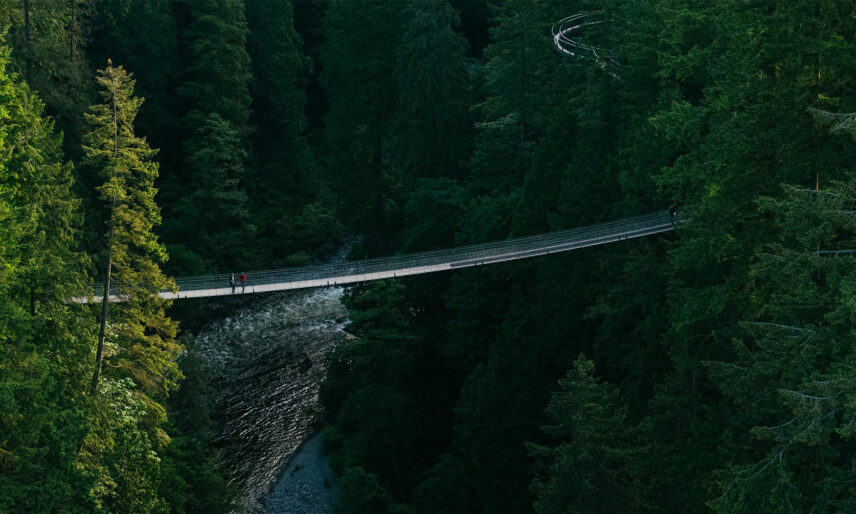 An aerial view capturing two guests walking on the Capilano Suspension Bridge from afar, with the picturesque Capilano Canyon and river below, and the Cliffwalk attraction visible in the distance, showcasing the breathtaking beauty of Capilano Suspension Bridge Park