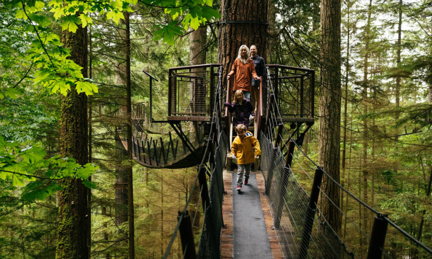 A family enjoys a stroll on the suspended bridges of Treetops Adventure while a little boy explores with his Kids' Rainforest Explorers activity sheet, discovering the wonders of the rainforest at Capilano Suspension Bridge Park